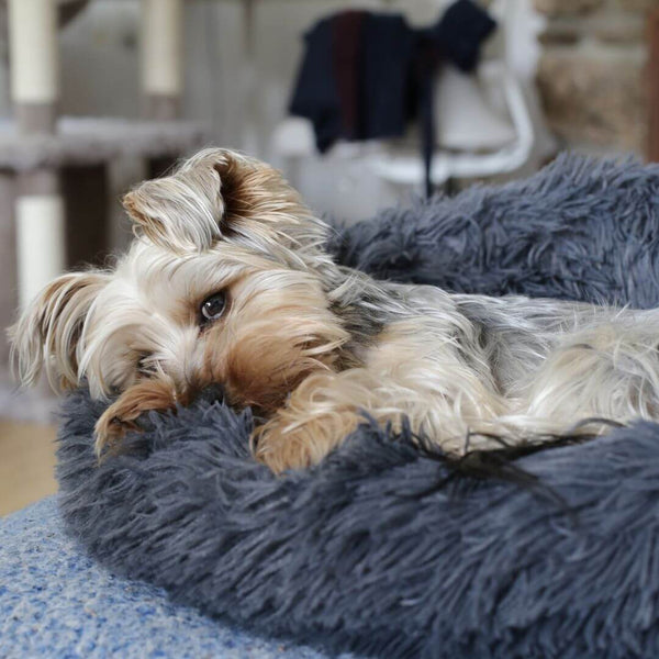 Anxiety-Relieving-Pet-Beds