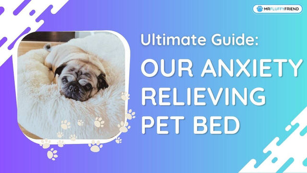 Anxiety-Relieving-Pet-Beds