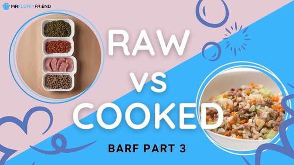 raw-vs-cooked-dog-food