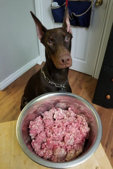 raw-vs-cooked-dog-food