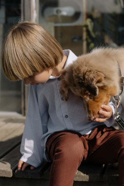 how to communicate with dogs