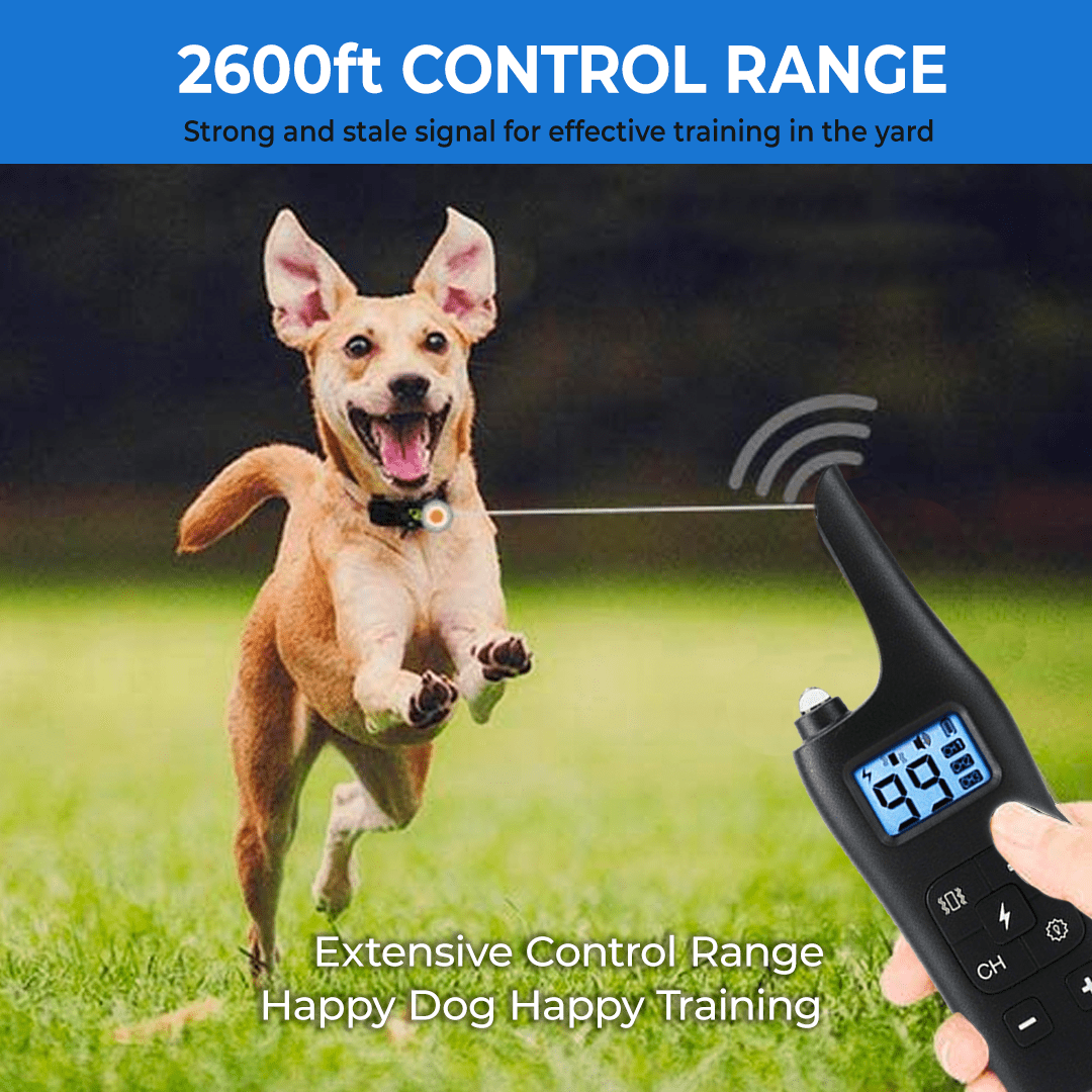 Dog Training Collar with Remote