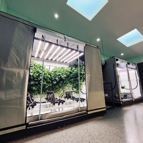 A-Grade Hydroponic Grow Rooms