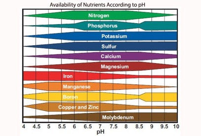 pH scale nutrient availability