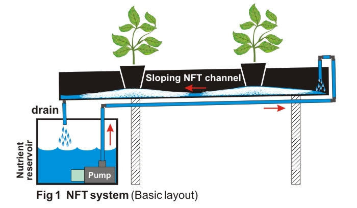 Recirculating NFT system