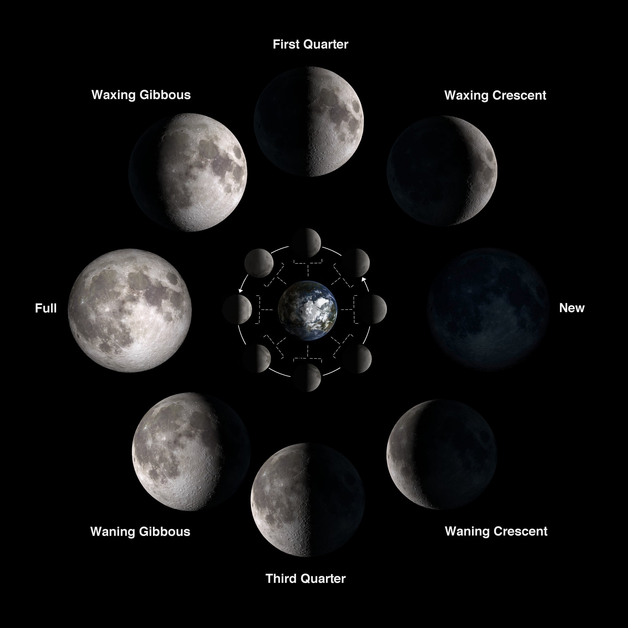 Moon Cycle and Phases