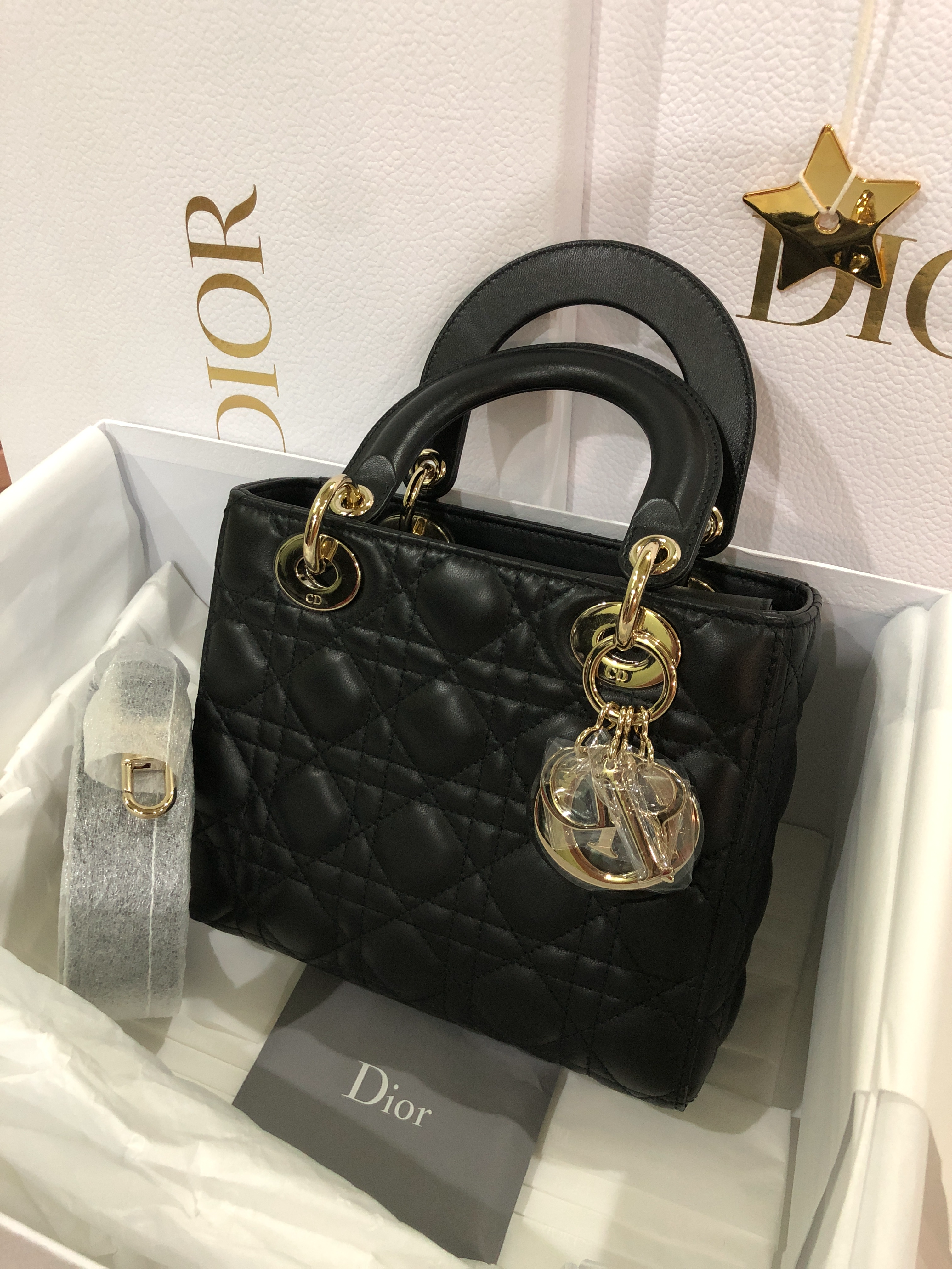 lady dior abc