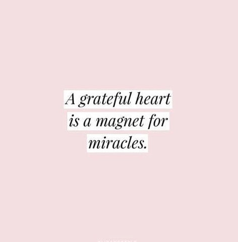 Gratitude - A beginners guide on how to manifest.