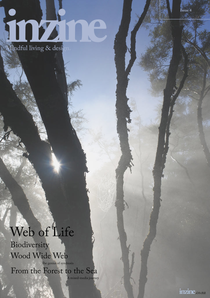 inzine issue 4 cover featuring an image at sunrise near a geothermal pool, with steam making a spider web between two trees glisten in the morning sun. The issue is based around the 'Web of Life', and features Biodiversity, the 'Wood Wide Web' and a mixed media journey