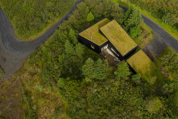 Aerial photo of house with green roof of grass and moss