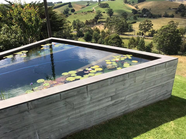 image of a natural swimming pool - no chemicals, with plants. photo shows landscape pool looks over.