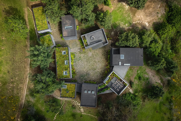 Birds eye view, aerial photo of house roofs covered in grass and moss