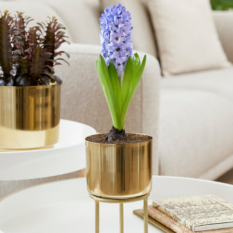 Brass Curio - Hyacinth Flower Stem