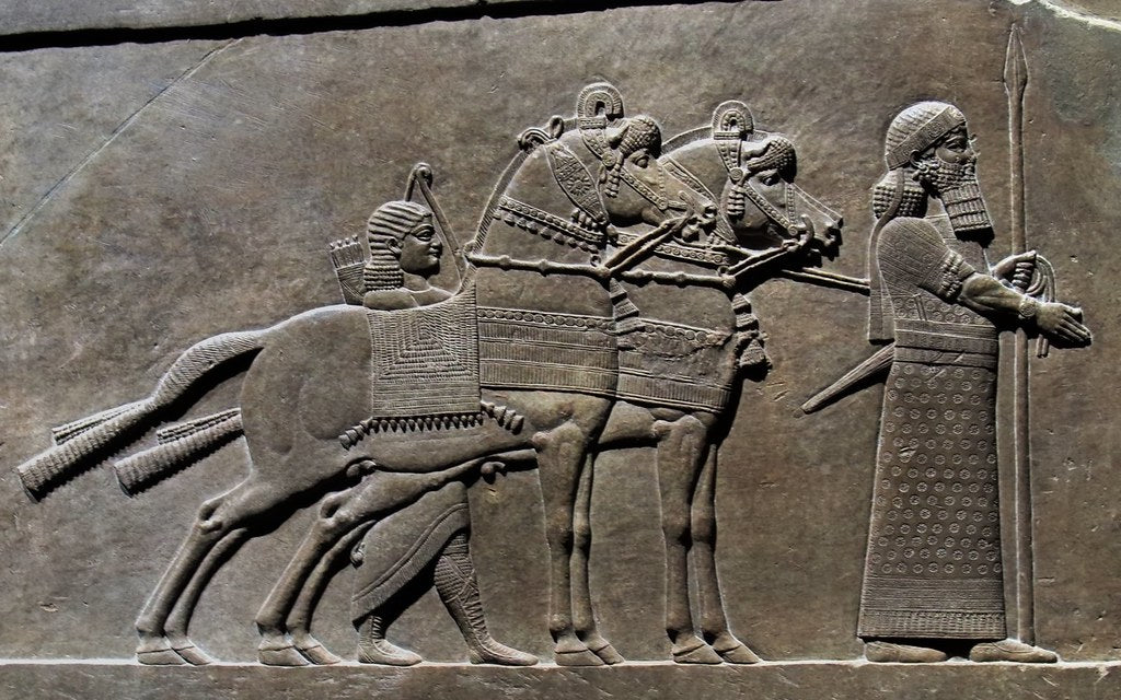 Assyrian horses