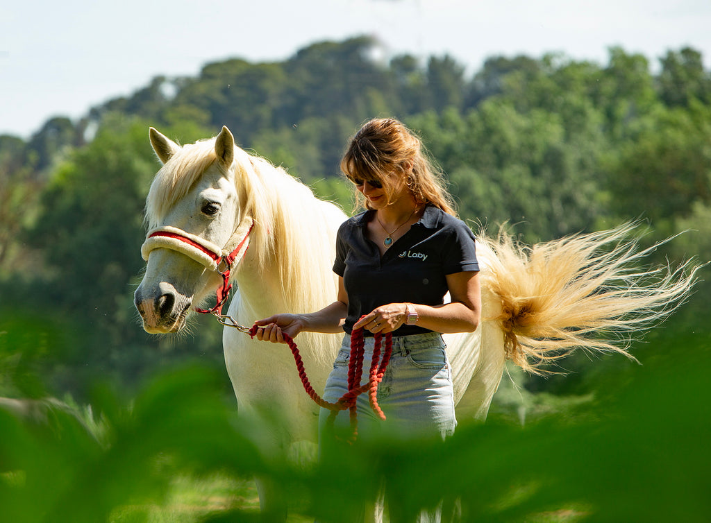 Small Luxury Hotel Domaine de Biar France, experience with horses