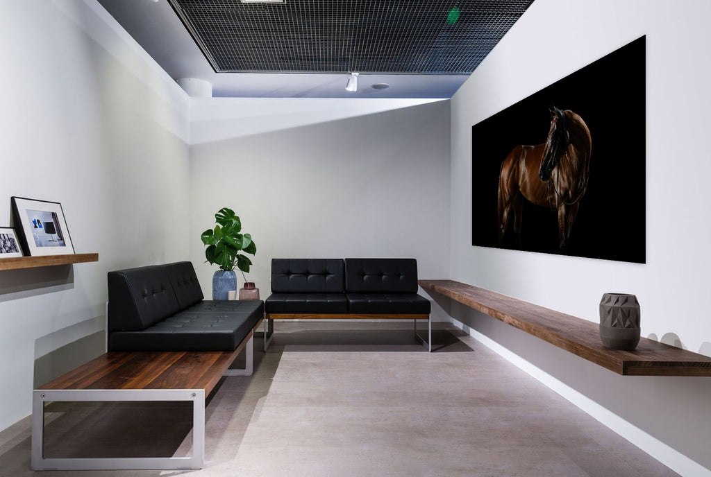 Elegant waiting area with horse fine art photography