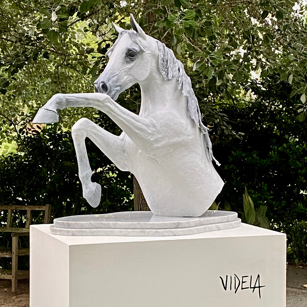 White arabian horse bronze sculpture