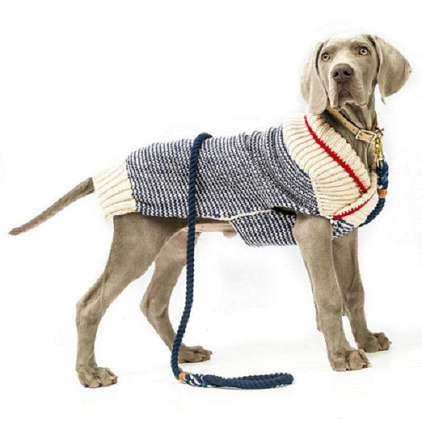 great dane sweaters for dogs