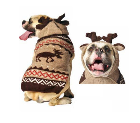 dog sweater with hood