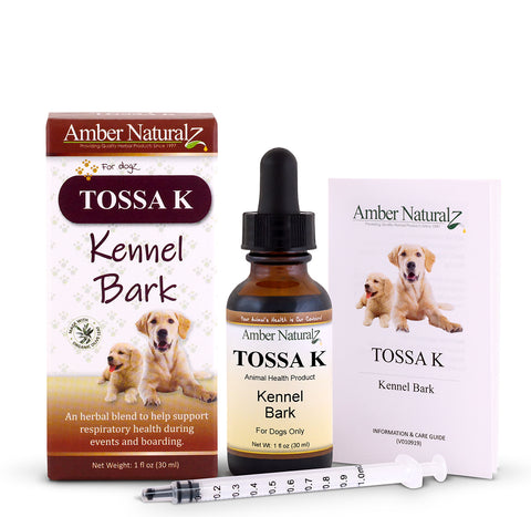 kennel cough treatment