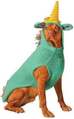 teal dog sweater