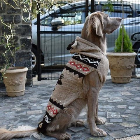 weimaraner sweater