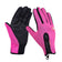 Winter Thermal Warm Gloves