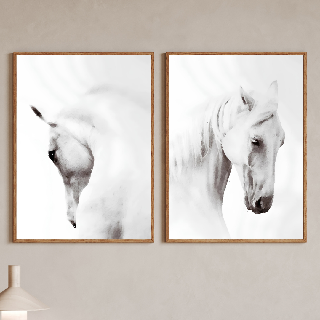 affiche chevaux blancs
