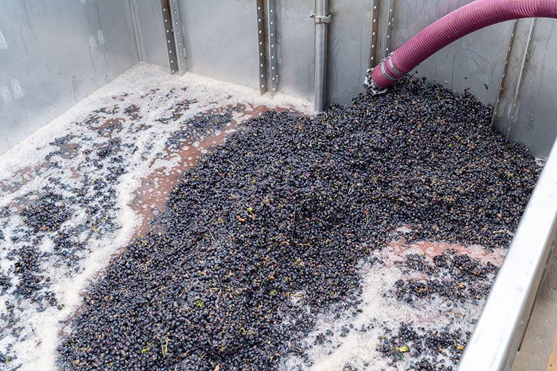 wine alcohol fermentation process