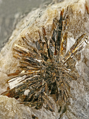 Astrophyllite is a very rare, brown to golden-yellow with pyramid shapes