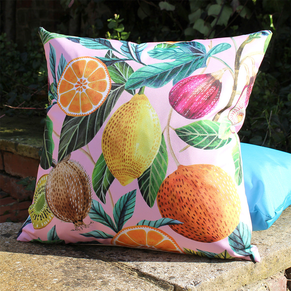 Photos - Pillow Citrus Outdoor Cushion Blush Pink, Blush Pink / 43 x 43cm / Cover Only CIT