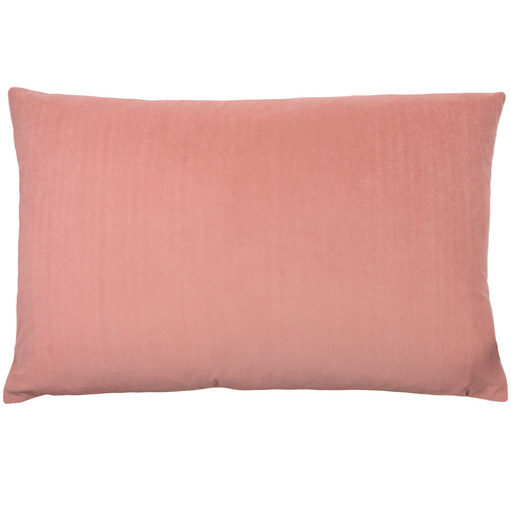 Photos - Pillow Contra Velvet Cushion Blush, Blush / 40 x 60cm / Polyester Filled CONTRA/H