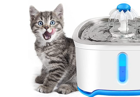 Cat Water Fountains and Peristaltic Pumps
