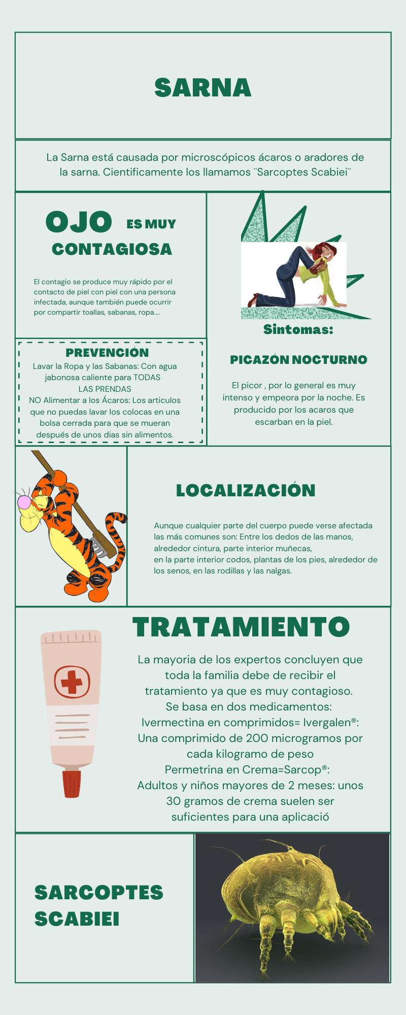 rociar la ropa con permetrina - infografía - farmaadicta