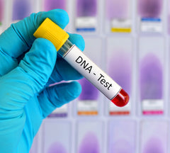 DNA Test 