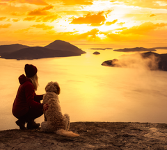 Dog Mom and dog at sunset