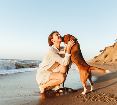 Dog Licking Dog Mom