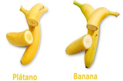 plátano o banana