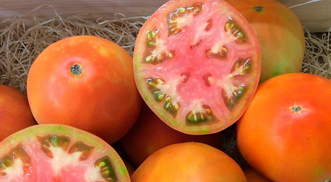 tomate ensalada Ibérico