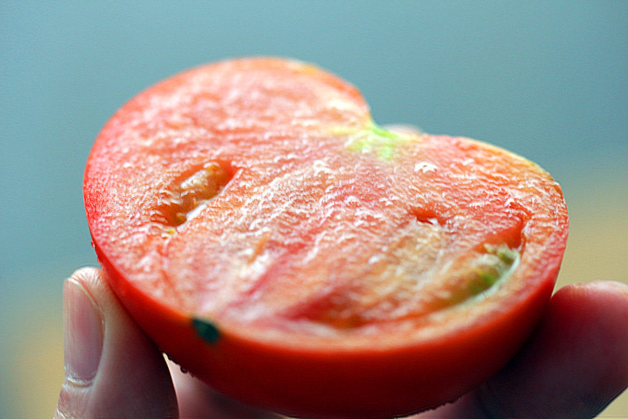 あかね農園最高品質のトマト「極み」が今季販売START！