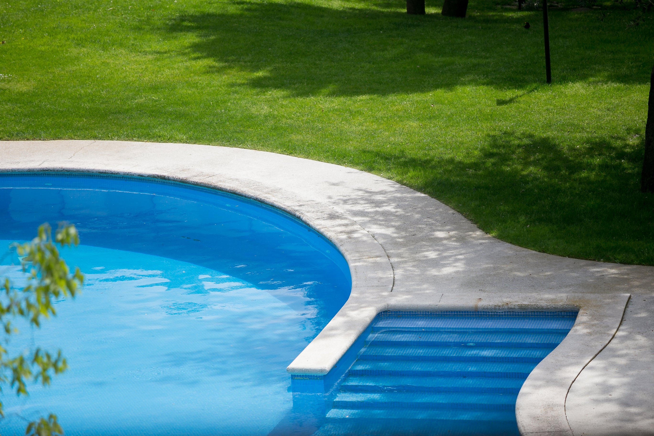 Pool and CONCRETE floor with green grass check for cracks - spring maintenance 