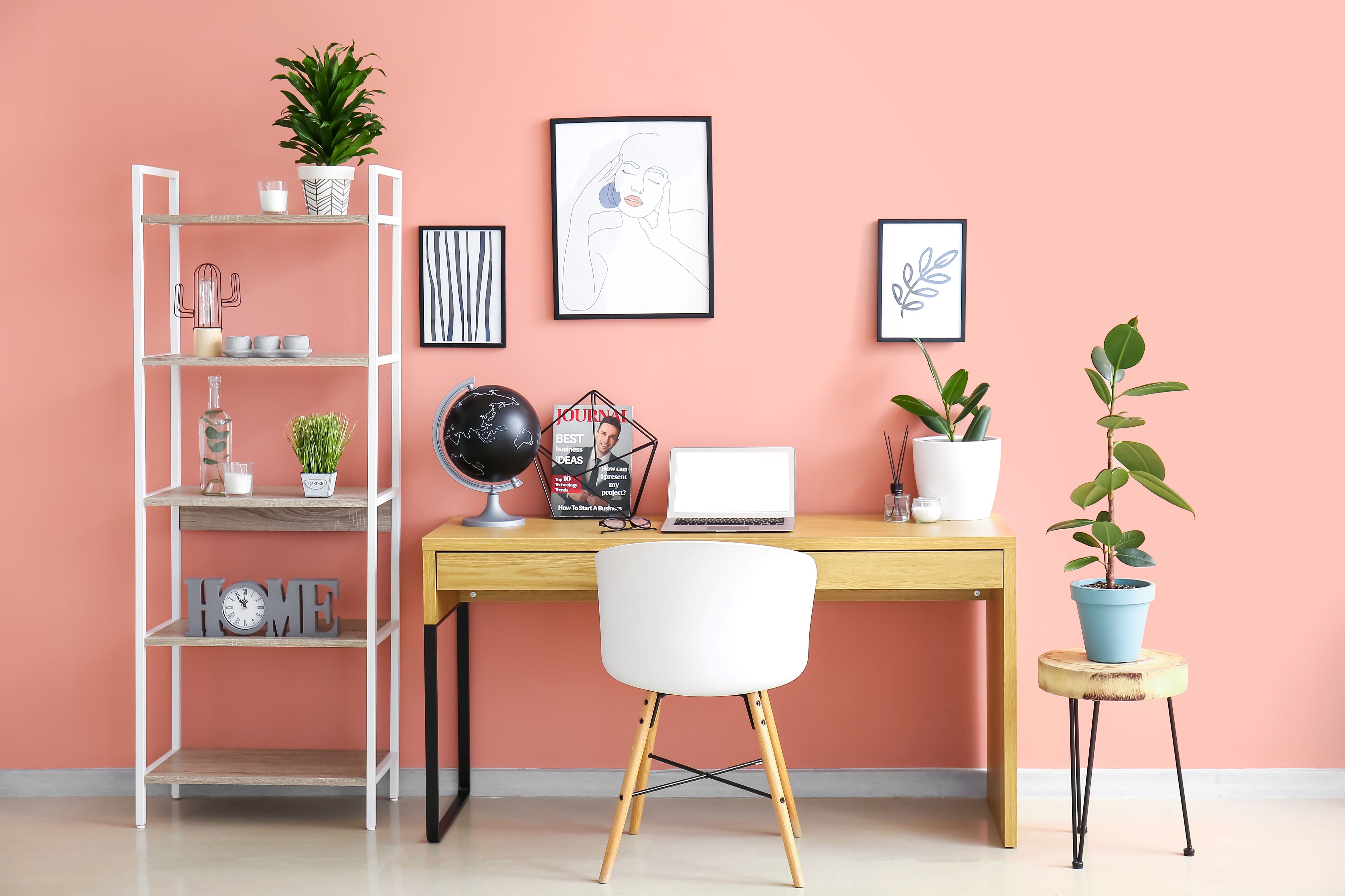 Personalize your space, frames and plants