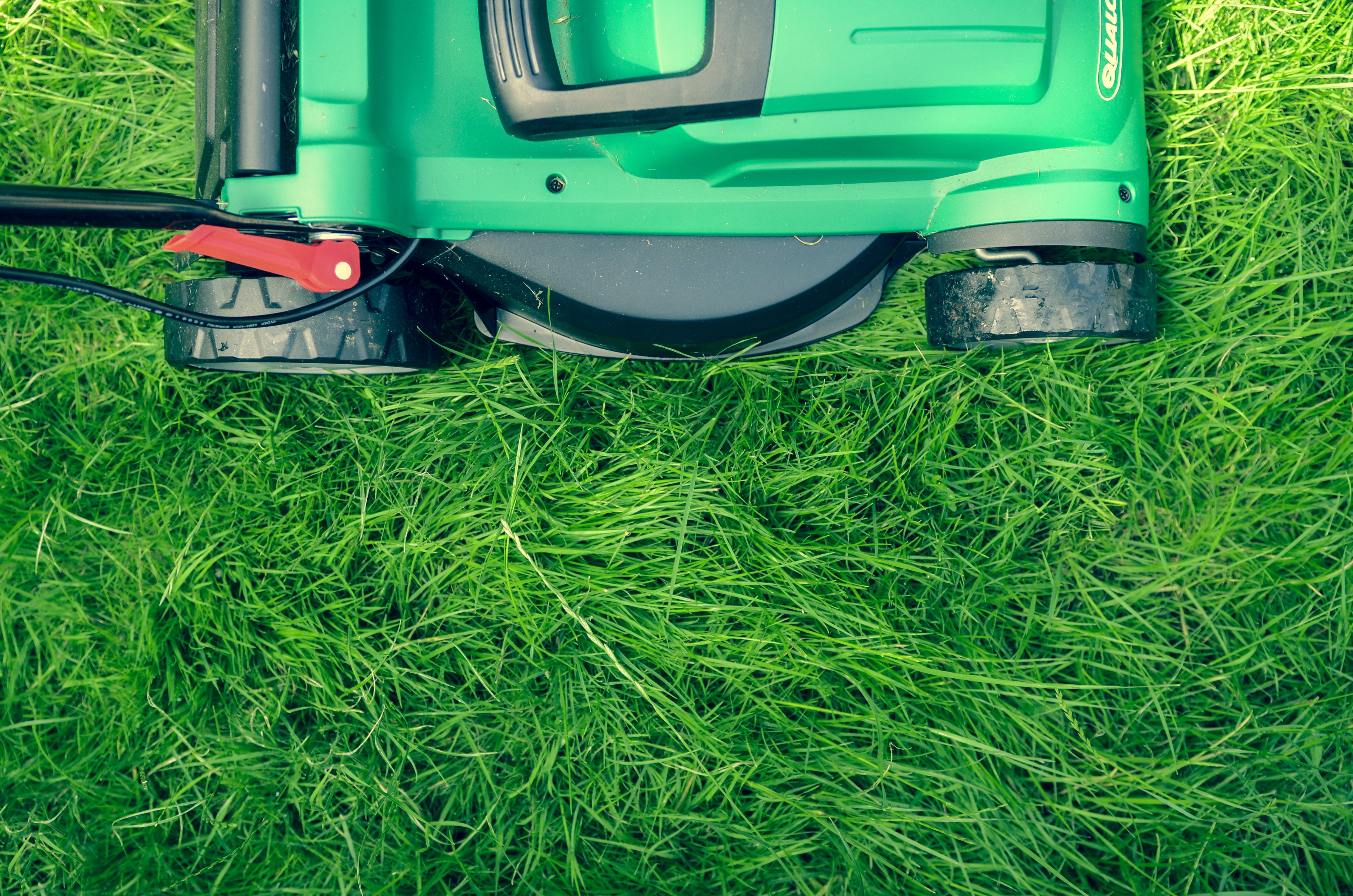 mowing the lawn, best practices