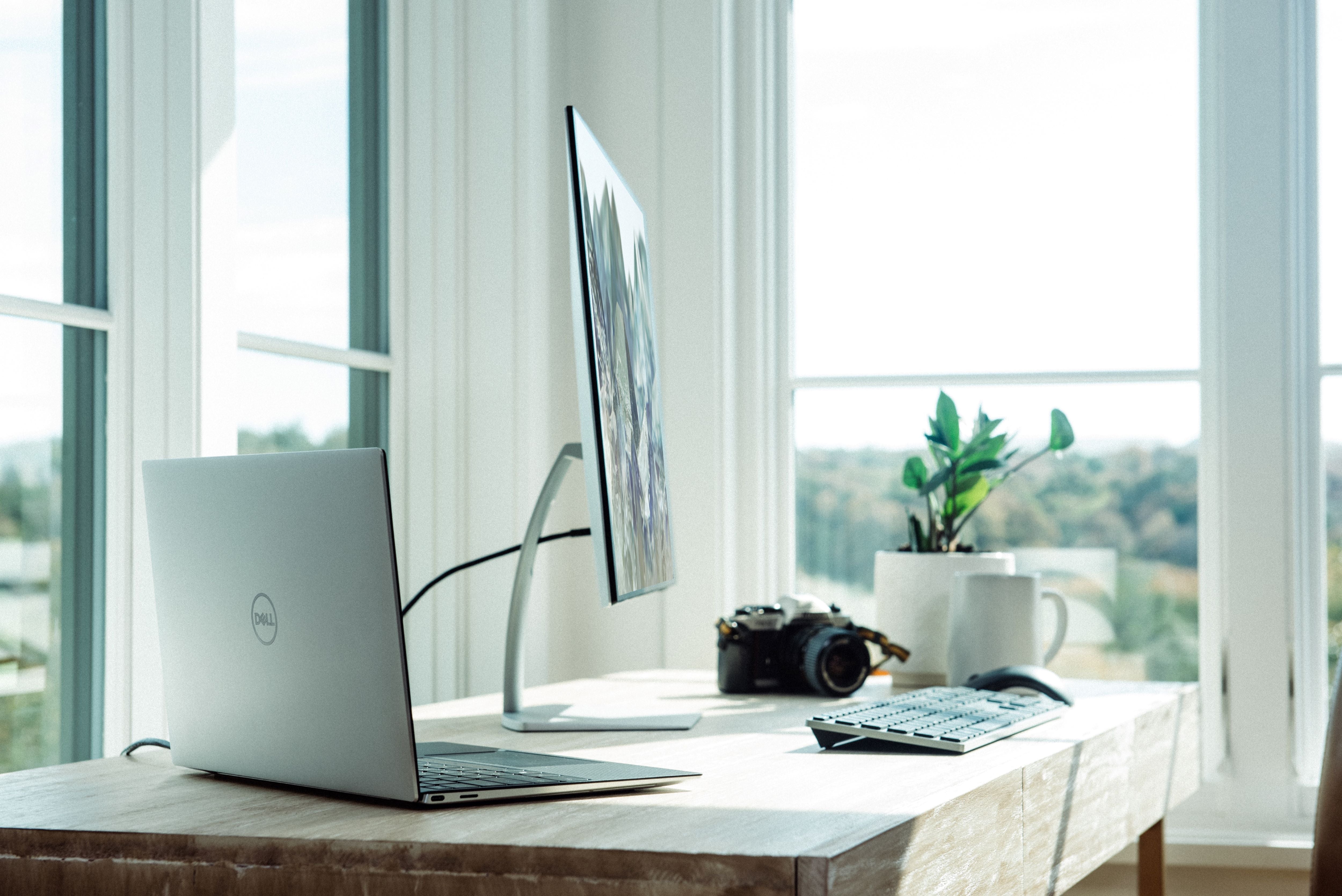 Window sunlight office natural light