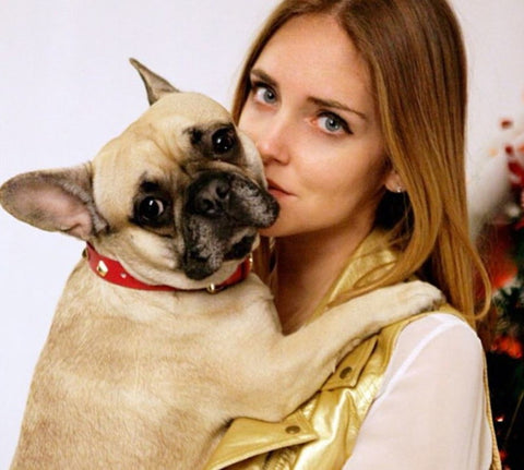 Matilda Ferragni Französische Bulldogge Chiara Ferragni