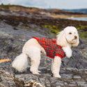 Cappotto rosso scozzese MacGregor Quilted - Urban Pup
