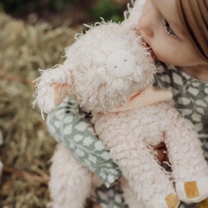 Hammie the Pig - The Society Marketplace