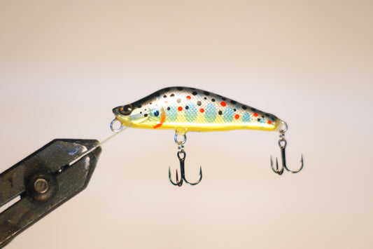 Artisanal Trout Fishing Lure la Rainette Handmade and Hand Painted Hard  Lure 