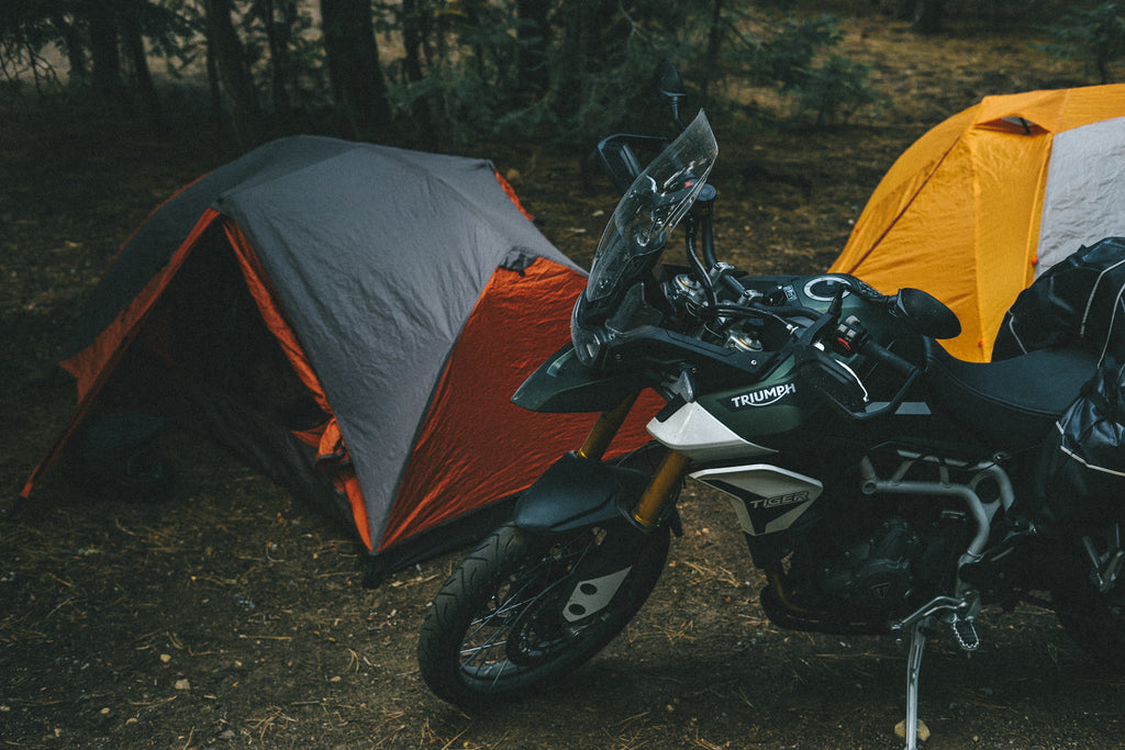 Camping Triumph tiger 900