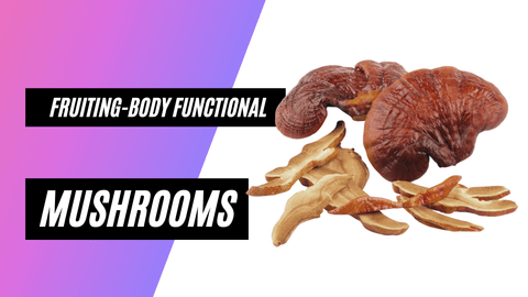 Best fruiting body functional mushrooms supplements on sale - Cracked Supplements